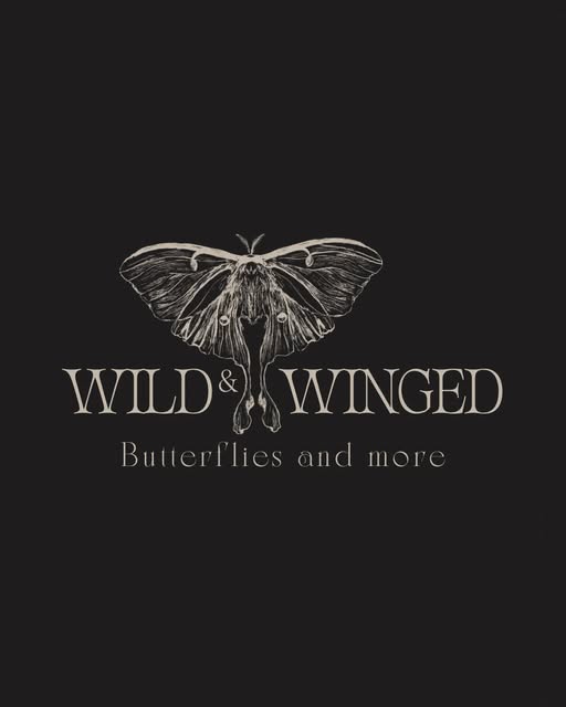 Bekijk de Wild & Winged Instagram-post van 9 augustus 2026