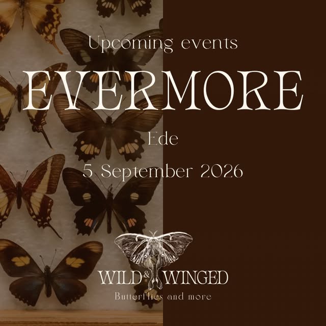Bekijk de Wild & Winged Instagram-post van 11 augustus 2026
